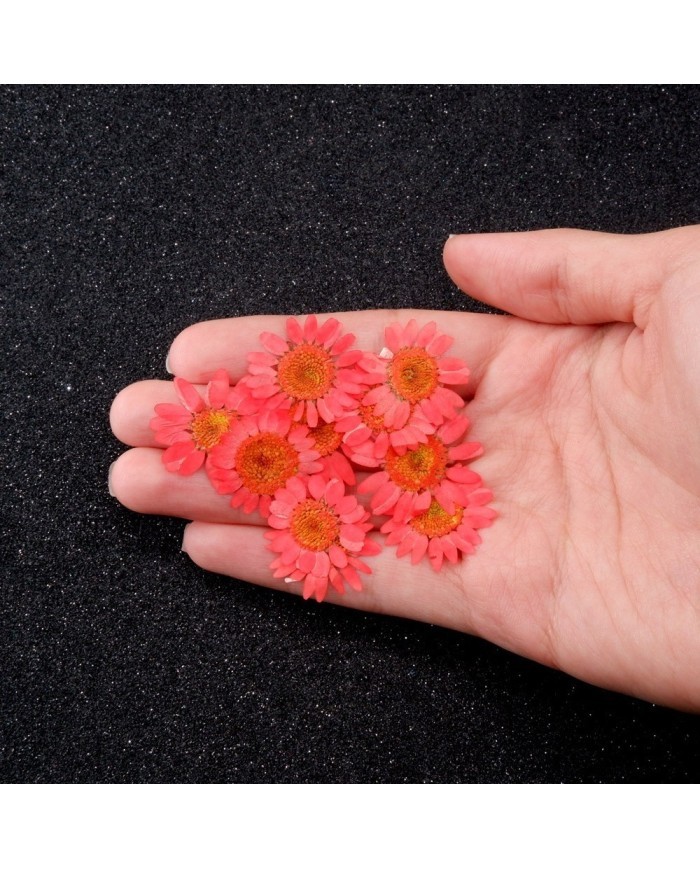 Kurutulmuş Papatya - Açık Kırmızı 5 Adet