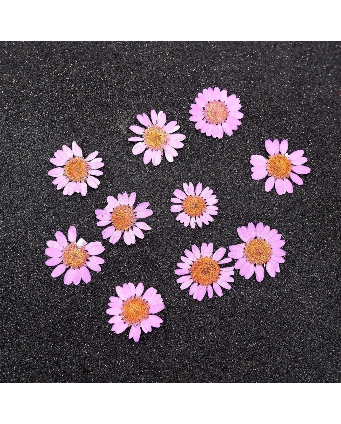 Kurutulmuş Papatya - Açık Pembe 5 Adet