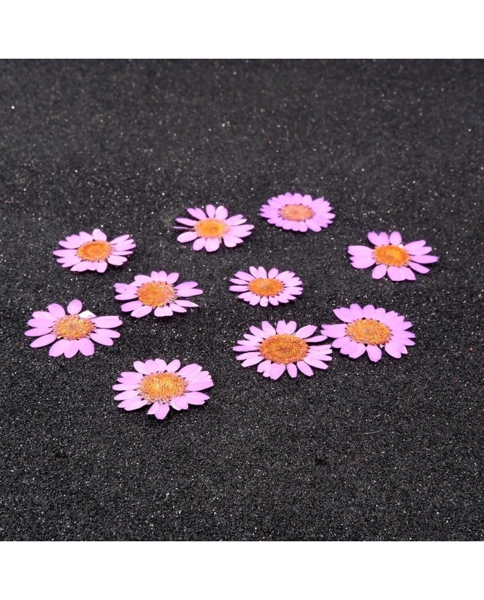 Kurutulmuş Papatya - Açık Pembe 5 Adet