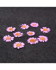 Kurutulmuş Papatya - Açık Pembe 5 Adet