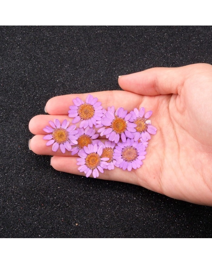 Kurutulmuş Papatya - Açık Pembe 5 Adet