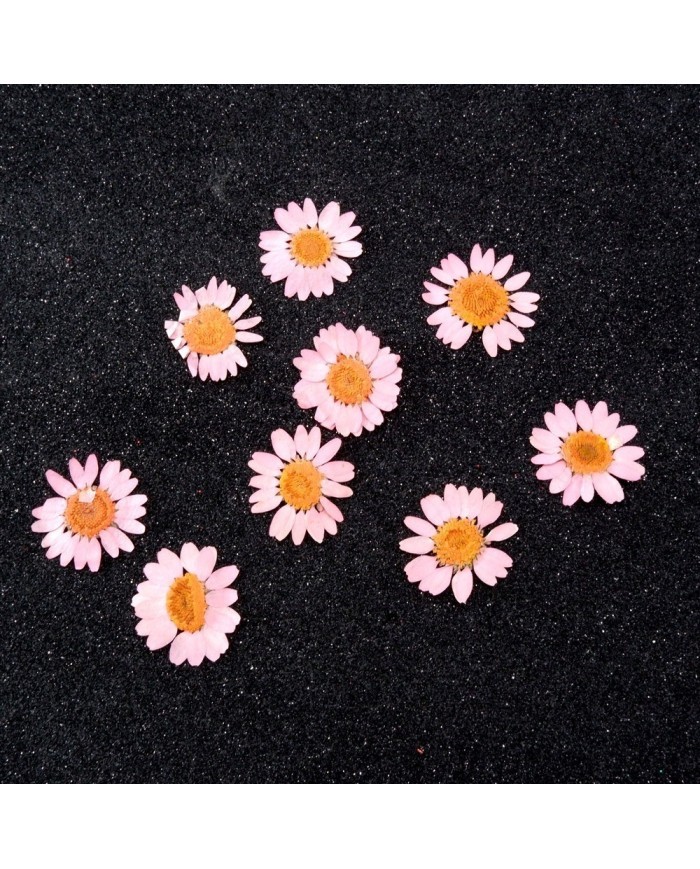 Kurutulmuş Papatya - Açık Pembe 5 Adet