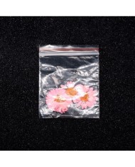 Kurutulmuş Papatya - Açık Pembe 5 Adet