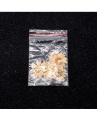 Kurutulmuş Papatya - Krem 5 Adet