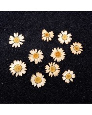 Kurutulmuş Papatya - Krem 5 Adet