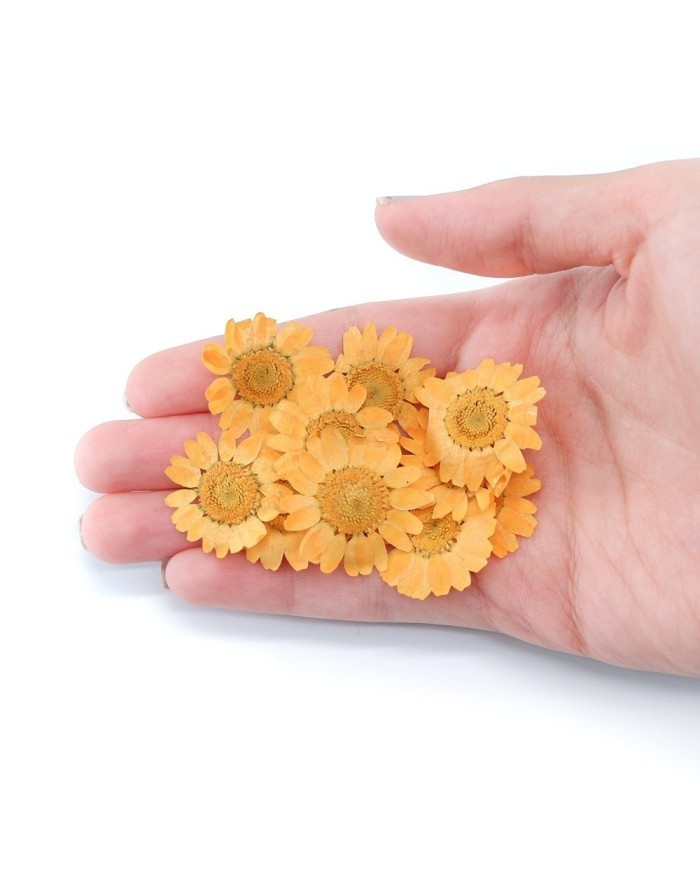 Kurutulmuş Papatya - Oranj  5 Adet