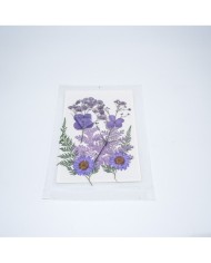 Lila Kuru  Çiçek  Papatya Dal Cipso Set