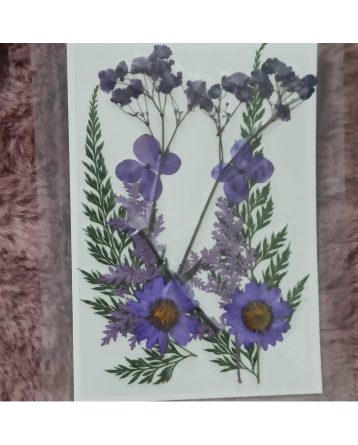 Lila Kuru  Çiçek  Papatya Dal Cipso Set