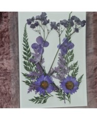 Lila Kuru  Çiçek  Papatya Dal Cipso Set