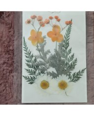 Turuncu Kuru  Çiçek  Papatya Dal Cipso Set