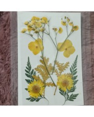 Sarı Kuru  Çiçek  Papatya Dal Cipso Set