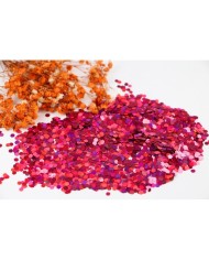 Altıgen Epoksi ve Kozmetik Pulu Glitter 5 Gr  - Kırmızı