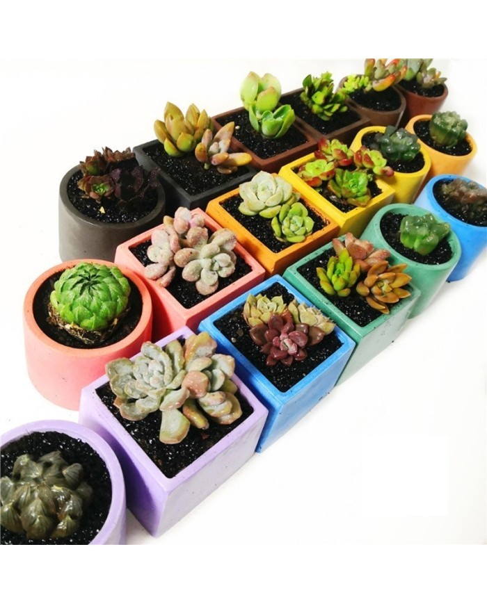 İkili Beton Saksı Kalıbı