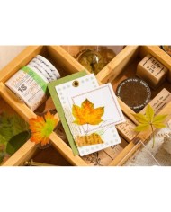 Yaprak Sticker - 1 Paket