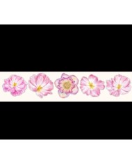 1 Paket - Çiçek Sticker