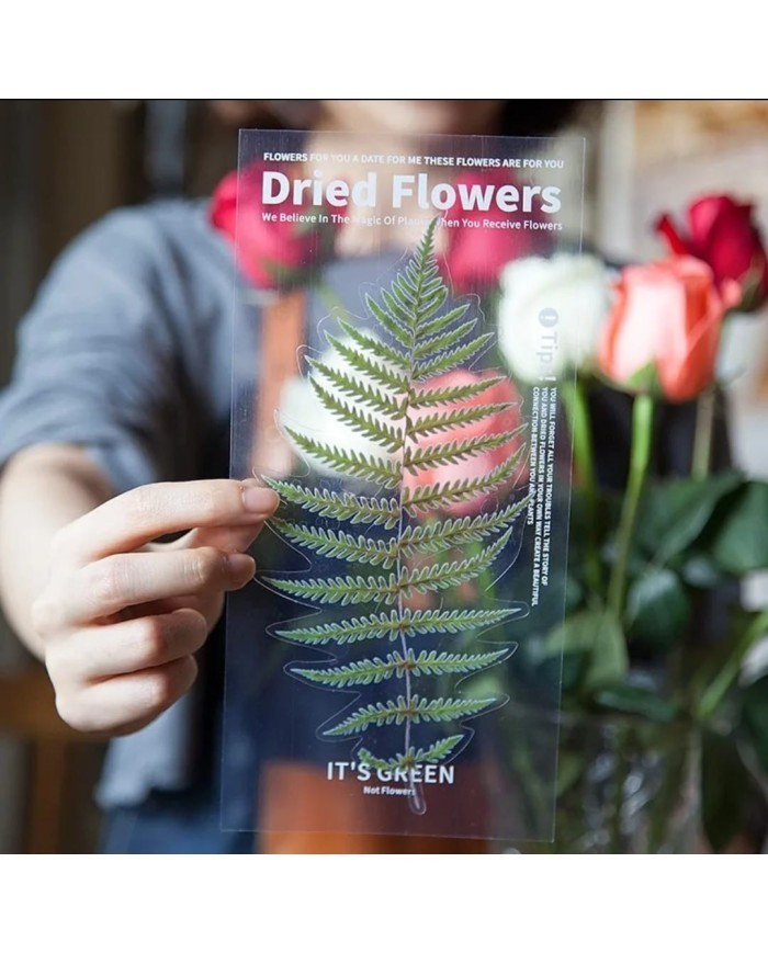 1 Paket - Eğrelti Otu Sticker