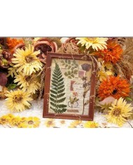 1 Paket - Eğrelti Otu Sticker