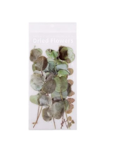 1 Paket - Okaliptus Yaprağı Sticker