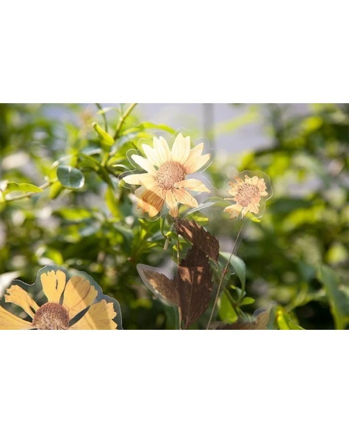 1 Paket - Sarı Papatya Sticker