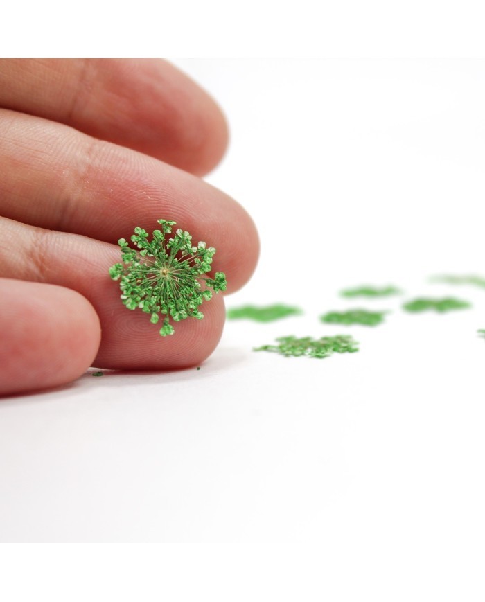 Sultan Otu - Kurutulmuş Çiçek - yeşil - 10 adet