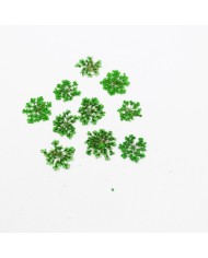 Sultan Otu - Kurutulmuş Çiçek - yeşil - 10 adet