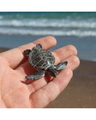 Plastik Epoksi Kaplumbağa Siyah