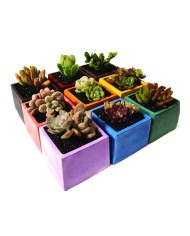 Kod:3360 - Beton Tozu Kiremit 15Kg