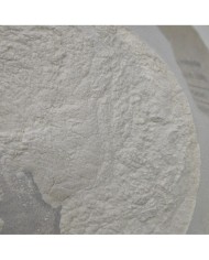 Bukalemun Toz Boya - 5 Gr - 206