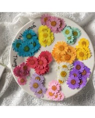 Kurutulmuş Papatya - Fuşya 10 Adet