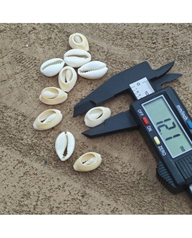 Deniz kabuğu 25 gr