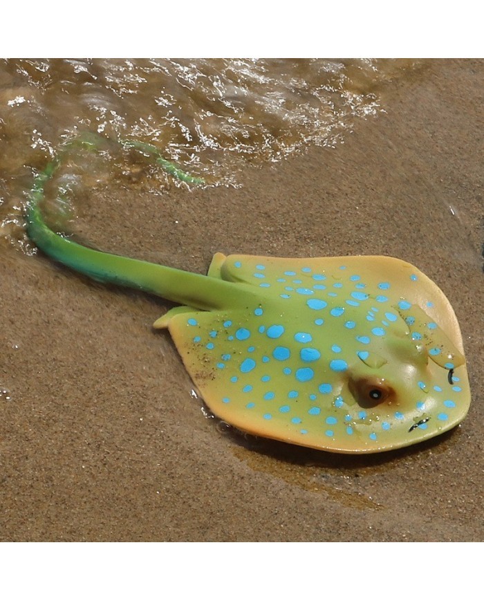 Yapay Mavi Benekli Vatoz Balığı