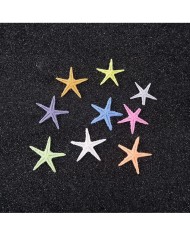 Renkli Deniz Yıldızı