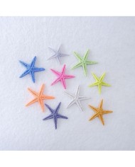 Renkli Deniz Yıldızı