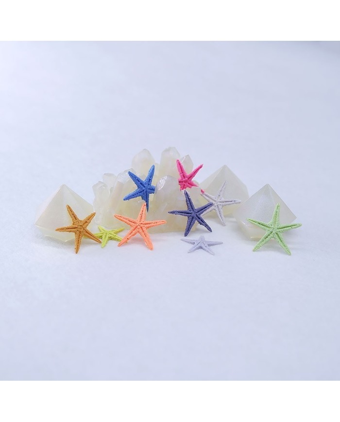 Renkli Deniz Yıldızı