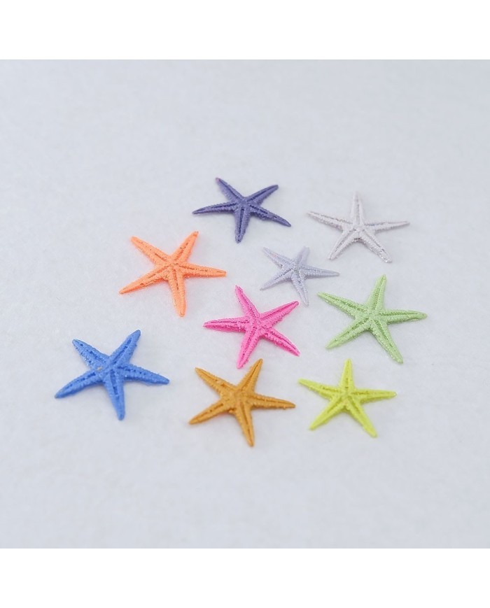 Renkli Deniz Yıldızı