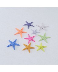 Renkli Deniz Yıldızı