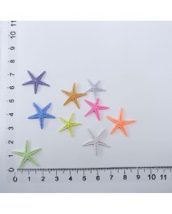 Renkli Deniz Yıldızı