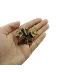 Meşe Çiçeği 10 Adet