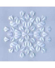 Havuç Dilimi Deseni Beton Kalıbı