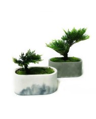 Oval Silikon Beton Saksı Kalıbı