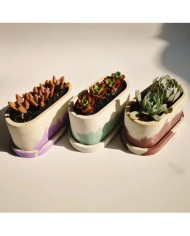 Oval Silikon Beton Saksı Kalıbı