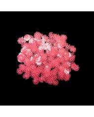 Epoksi Süsleme Pulu - Fosforlu Pembe Çiçek