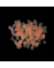 Epoksi Süsleme Pulu - Fosforlu Pembe Çiçek