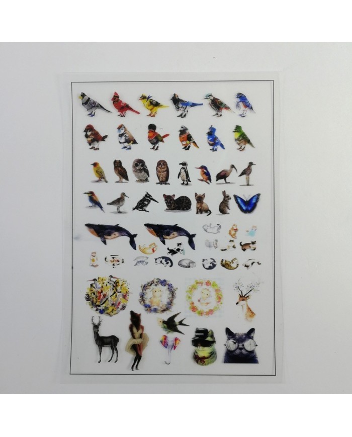 Penguen Asetat - Reçine Epoksi Asetat