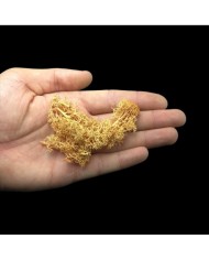 Kurutulmuş Yosun Hardal - 5 gr