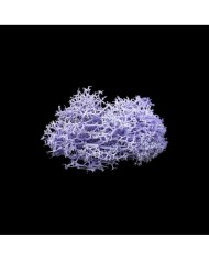 Kurutulmuş Yosun Mor - 5 gr