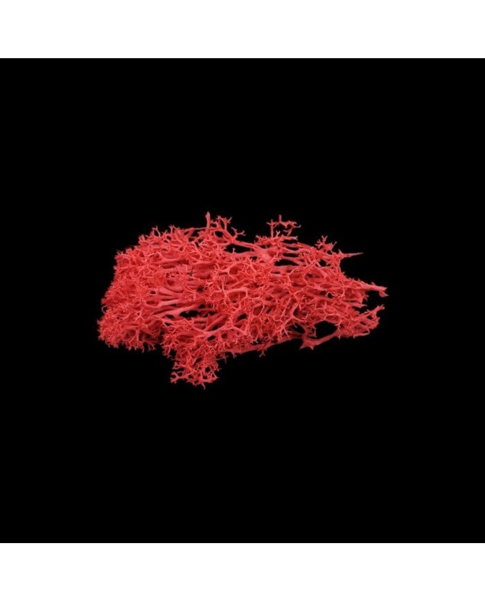 Kurutulmuş Yosun Kırmızı - 5 gr