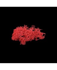 Kurutulmuş Yosun Kırmızı - 5 gr