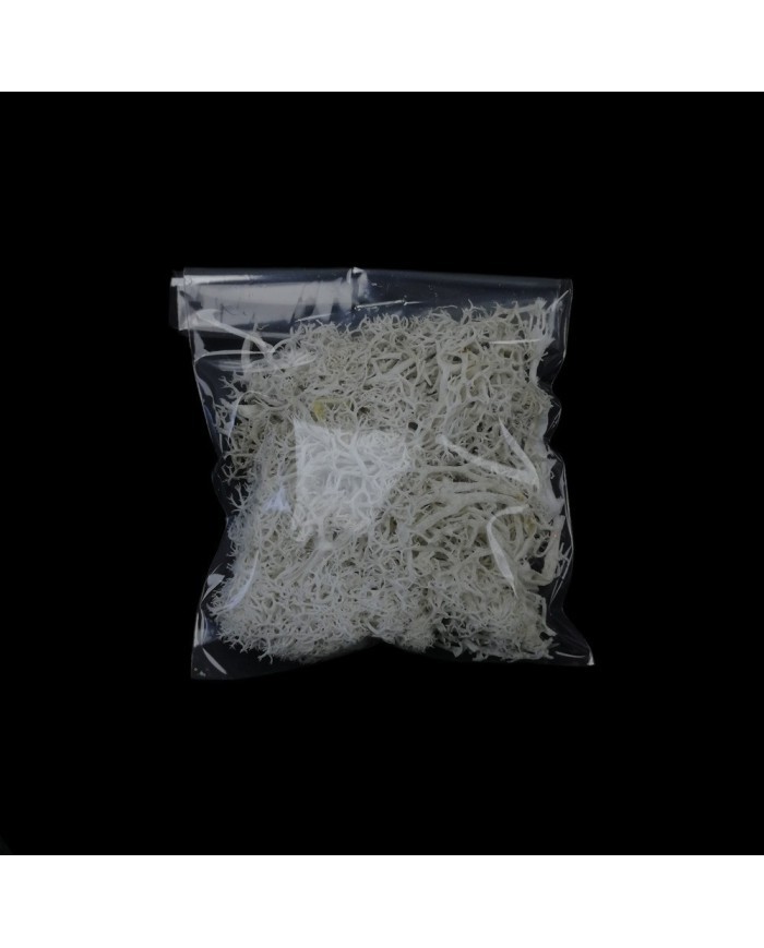 Kurutulmuş Yosun - Beyaz - 5 gr