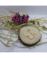 Taşlı Kedi Model Reçine Metal Kolye Ucu Renk Seçmeli